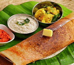 mysore dosa